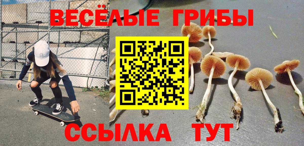 Галлюциногенные грибы ЛСД Павловский Посад